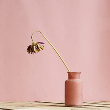 a dead flower in a vintage vase on a wood table.