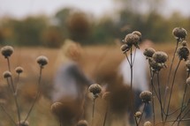 blurry image of a couple and dried wildflowers 