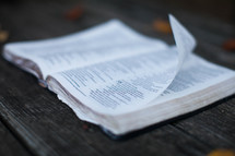 pages of a Bible flipping in the wind as it lies on a picnic table 