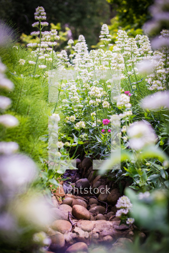 flower garden 