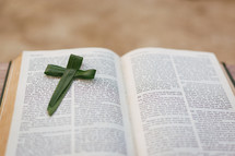 palm cross on the pages of a Bible 