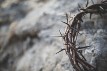 crown of thorns on a rock 