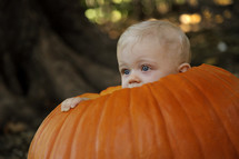 infant boy in a pumpkin 