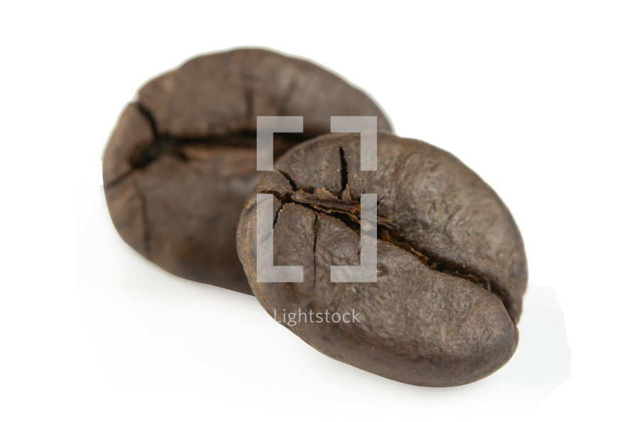 two coffee beans 