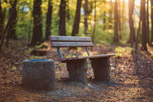 park bench in a forest 