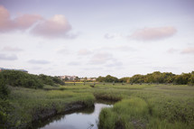 coastal river and marsh 