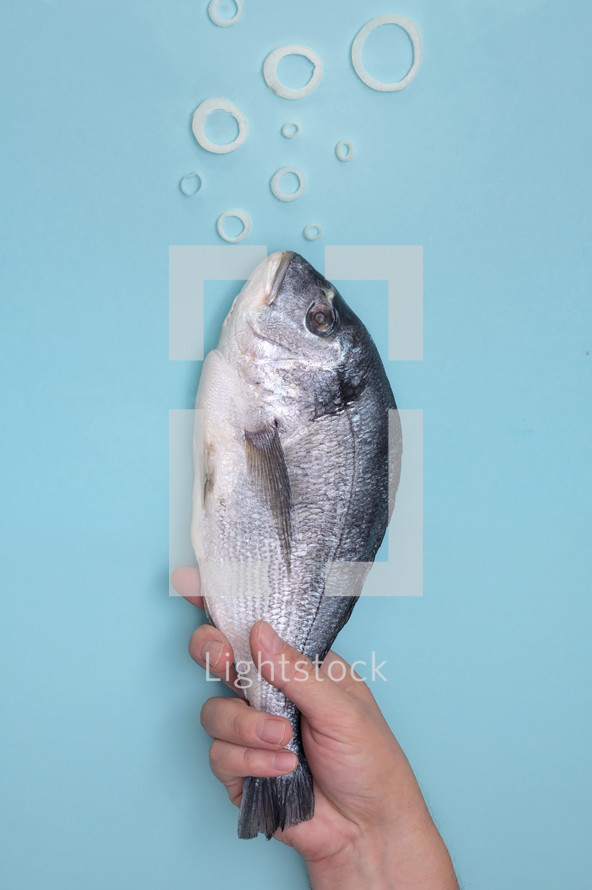 Man Holding Dorada Fish Swimming. Underwater Air Bubbles from Onion Rings 
