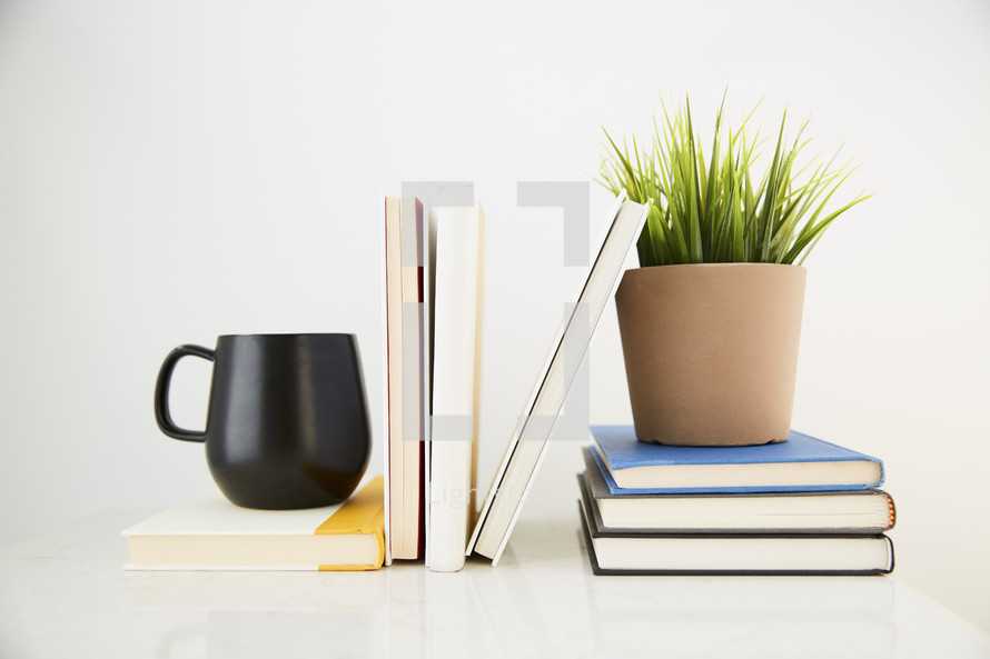 books, mug, house plant on a desk 