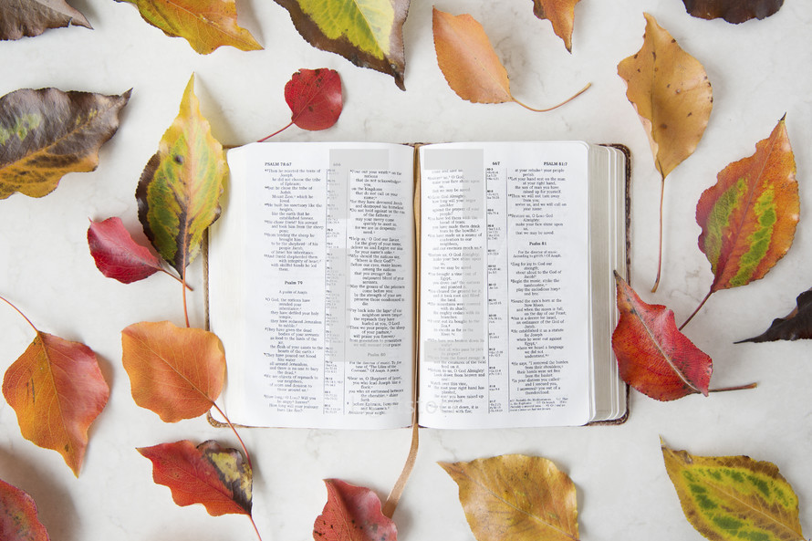 border of fall leaves around a Bible 