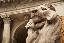 lion statue The New York Public Library 