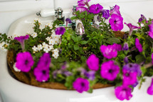flowers in a sink