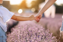 Happy family day. Mom holds her child daughter by hand in lavender field on summer day. Family outdoors in nature on sunset. Motherhood, childhood and care concept. Mothers day. Sun rays