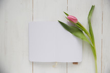 blank pages of an open journal and a tulips 