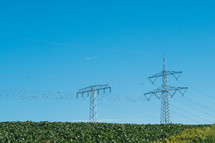 Electrical poles in a rural farm field