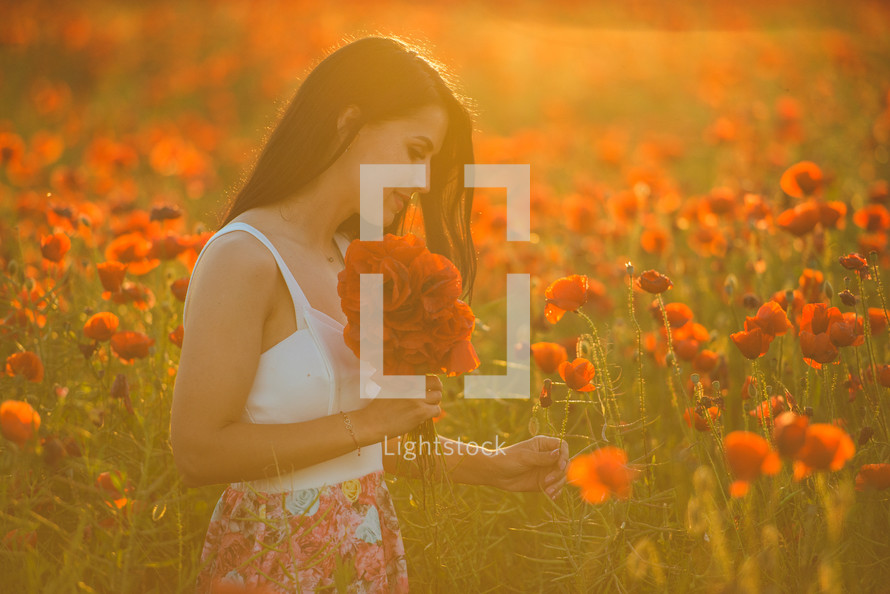 a woman picking flowers in a field of red poppies 