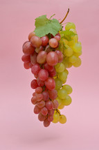 Red And White Grapes Bunches Isolated on Pink Background