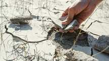 Hand touching drought land without water from month