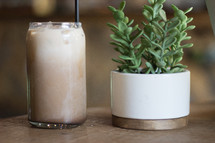 iced coffee and potted plant 