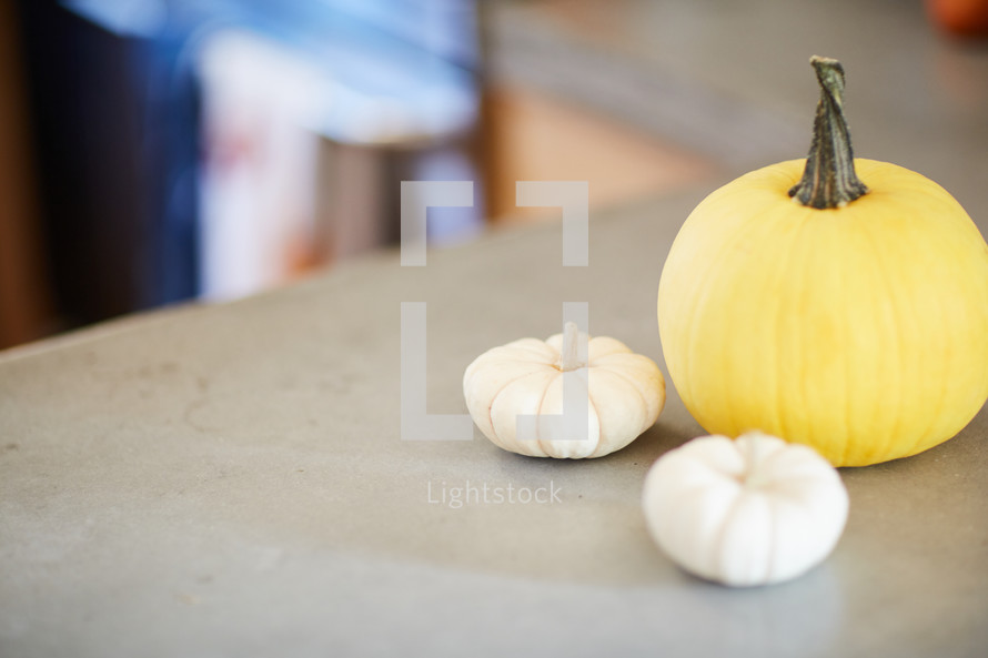 pumpkins on a countertop 