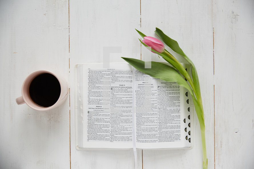 open Bible, tulip, and coffee mug on white wood background 