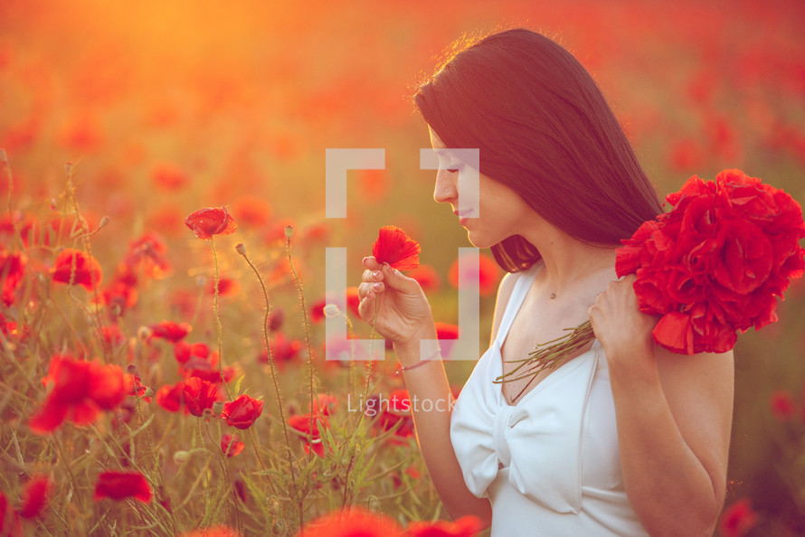 a woman picking flowers in a field of red poppies 