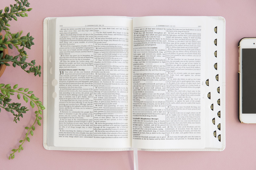pink background, Bible, house plant, morning devotional, table, cellphone 