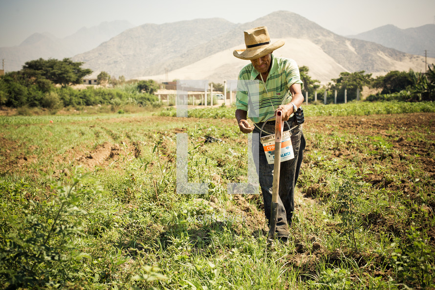Old man planting seeds in a field, mountains in the background
