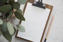 eucalyptus leaves, clipboard, white background, paper, pencil, taking notes, lecture, desk, podcast, desk, workspace