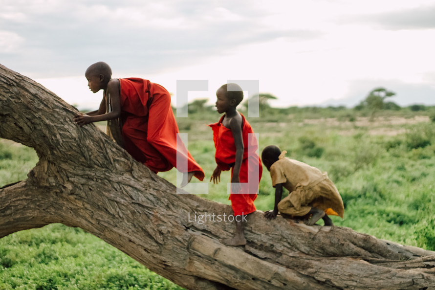 village children climbing a tree in Africa