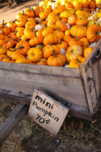 mini pumpkins in a wagon 
