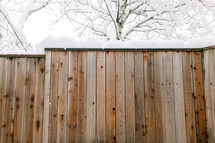 snow and fence 
