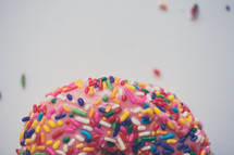 sprinkled donut on a white background 
