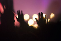 raised hands of audience members at a concert 