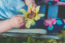 a toddler girl holding a flower 