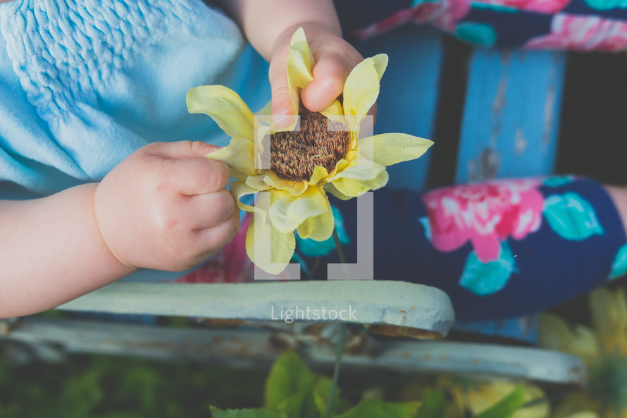 a toddler girl holding a flower 