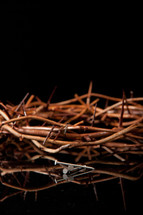 crown of thorns of three nails