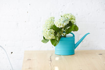 hydrangeas in a turquoise watering can 