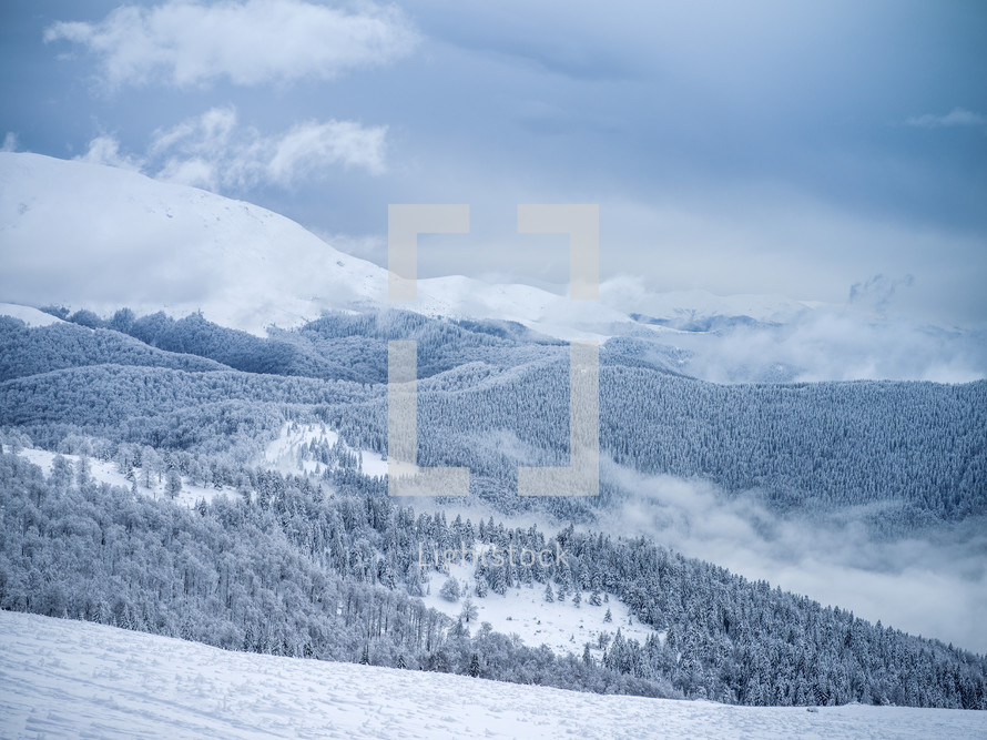 clouds over winter mountain forest 