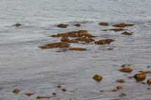 seagulls on rocks in the ocean 