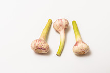 Three garlic with a stem on a white isolated background with copy space