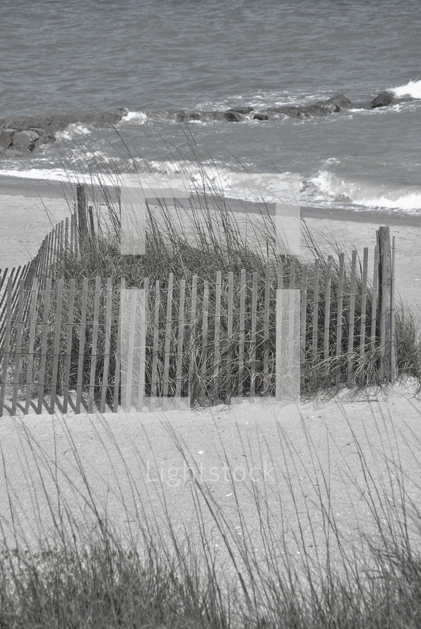 fence on a beach and tall grasses 