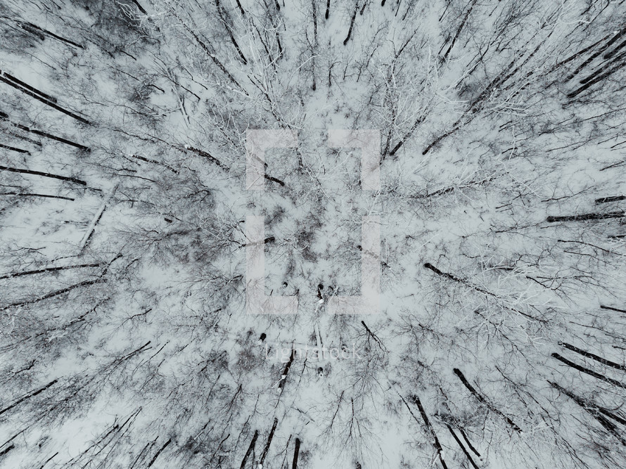 Aerial photo of a snowy forest in Canada