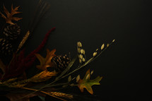 fall foliage on black background 