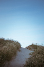 worn path over sand dunes 