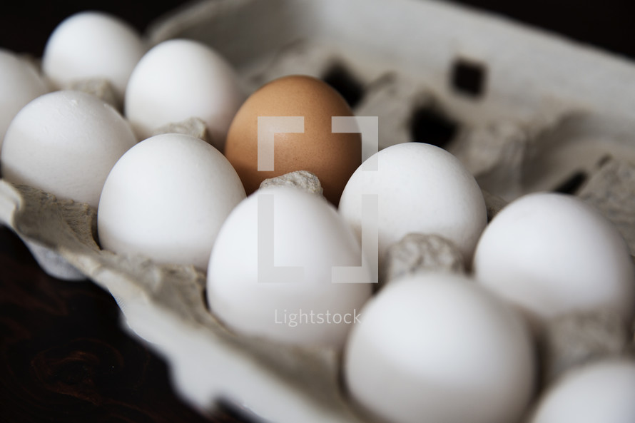 One brown eggs in a carton of white eggs.