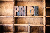 Wooden letters spelling "pride" on a wooden bookshelf.