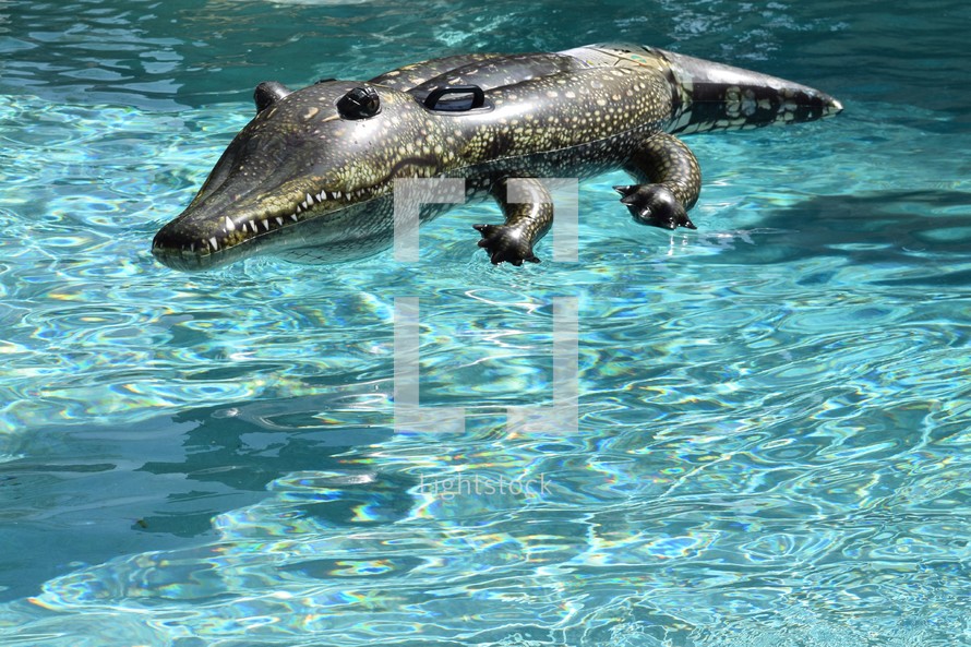 Pool Party, an alligator float in a swimming pool 
