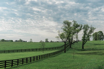green grass and fence line 