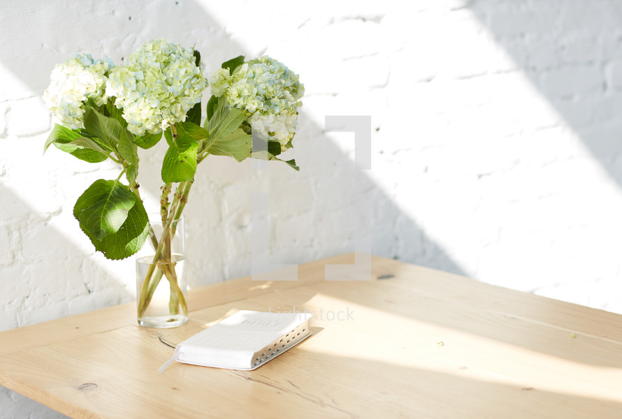 hydrangeas in a vase and Bible on a table 