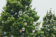 Bubbles floating in the air by the trees.